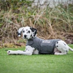 Thundershirt Beruhigungsweste Grau XS -Haustier Lieferungen 9b6b99fb9c0e02a64cc609b7ca852c71d17d0d84 1102942 2