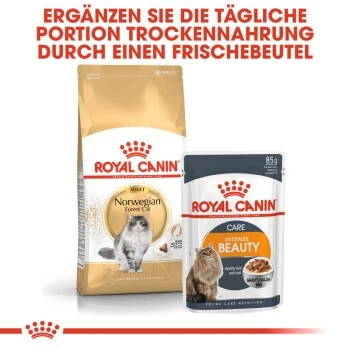 ROYAL CANIN Norwegian Forest Adult 10 Kg 3 ROYAL CANIN Norwegian Forest Adult 10 Kg – Bild 3
