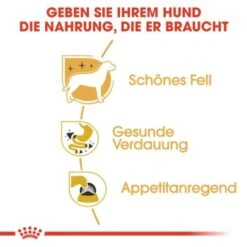 ROYAL CANIN Chihuahua Adult 12x85g -Haustier Lieferungen a1212bd4c85597fb805a0f74a8bc83dd87efc699 1239183 de DE rc