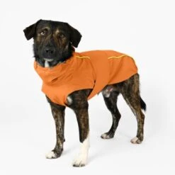THE DOG IDEA Regenmantel Duke Orange XXXS 10 THE DOG IDEA Regenmantel Duke Orange XXXS -Haustier Lieferungen a1af009970fbe0d49b23b55aae3478442e9eb5e6 1473000 de DE e975935bd14ae10e3cbf4709cc9d05a6879844e2TUSiIw