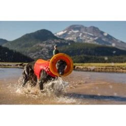 Ruffwear Hydro Plane™ Spielzeug M Orange -Haustier Lieferungen a3976cd8510df92d7b86f42c35fd984bc0313421 1364300 de DE 7e1ea9adae25d55e79a8aed2cc6dc797ac8d0d03R1qvUL
