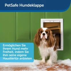 PetSafe Haustierklappe Für Extremes Wetter S 9 PetSafe Haustierklappe Für Extremes Wetter S -Haustier Lieferungen a6418c2f84c3e14467d7c91992b367da97c80c68 1279434 de DE fb7da59b7a5bf84ad58e13f5dc3d9cc04f4fa864u7H7aK
