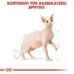ROYAL CANIN Sphynx Adult 10 Kg -Haustier Lieferungen a8cac64f1ab197f81295c694045c859b936cf469 3d2d3e46b1efb06d8dd5982093aa1fc1a81b6f69