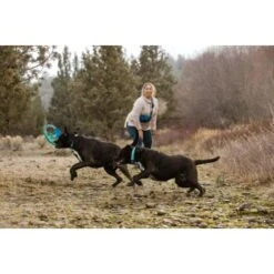 Ruffwear Pacific Ring™ Spielzeug Blau/ Türkis 16 Ruffwear Pacific Ring™ Spielzeug Blau/ Türkis -Haustier Lieferungen aaae4ecd59db92ffe25787fd56b7315d42974ecb 1444351 de DE f747ae339bc2beff156a317c539c1237b854177bd9ZZMN