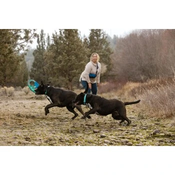 Ruffwear Pacific Ring™ Spielzeug Blau/ Türkis 8 Ruffwear Pacific Ring™ Spielzeug Blau/ Türkis – Bild 8