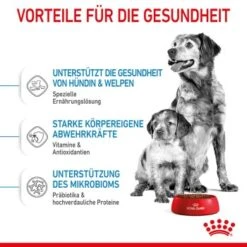 ROYAL CANIN Medium Starter 15 Kg -Haustier Lieferungen acb15bbb7b41e4def079872bea4263585c7c6e23 5870a5fecba74a3a49092a07c120a3ff257b845d