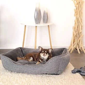 Lionto Hundebett Meliert Hundekissen Grau S 2 Lionto Hundebett Meliert Hundekissen Grau S – Bild 2