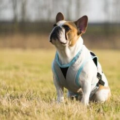 Trovet Suitical Kühlweste Dry Cool M 9 Trovet Suitical Kühlweste Dry Cool M -Haustier Lieferungen b32e0654ab987d26790de796cf13d2e54cbed73f 1321386 de DE Trovet suitical 6 Kopie