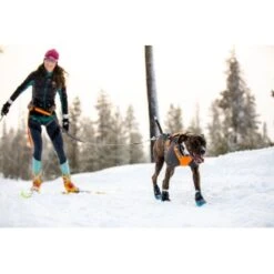 Ruffwear Cloud Chaser™ Hundejacke 18 Ruffwear Cloud Chaser™ Hundejacke -Haustier Lieferungen b3945dcdf1d891b89bb33cdcabbc0f70acaf459d 1369625 de DE 87163fc3e147e303fdf97d4ab87fd720c4f34a96B9a7gd