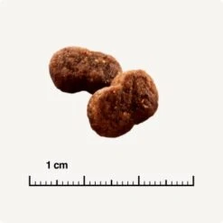 SELECT GOLD Hair+Skin Senior Geflügel & Lachs 2,5 Kg 10 SELECT GOLD Hair+Skin Senior Geflügel & Lachs 2,5 Kg -Haustier Lieferungen b42128ae83c41454d6be7d6047b7c0aaed5f051a 1001086011 de DE 6