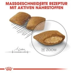 ROYAL CANIN Exigent Mini 3 Kg 11 ROYAL CANIN Exigent Mini 3 Kg -Haustier Lieferungen b8aa1c376b27f5425488e69d0cf81a397e0a03b5 ff7040fb29ee84f9d3542289043146698d974fd8