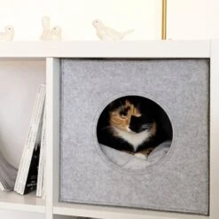 Lionto Katzenhöhle Aus Filz + Kissen - Regalhöhle Hellgrau -Haustier Lieferungen ba38cb426515f287554cca1376691e8fc1f2c06c 1657087 de DE 1787a06f3e708c0b40c07cda94f11d1c11828f21AhrPBZ