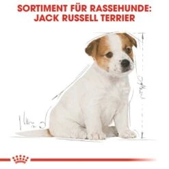 ROYAL CANIN Jack Russel Terrier Puppy 1,5kg -Haustier Lieferungen bb3f5f8c600f3d186a55e0b092a0352606da8b46 5f62f0670b22e1110337187d33f26910051f1a81