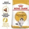 ROYAL CANIN Norwegian Forest Adult 10 Kg