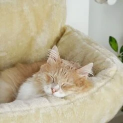 Schlitzohr Heizungsliege Lucky Beige -Haustier Lieferungen bdc02033928d033279e49ebefe91371e629dfd2f 1484673 de DE 4daf09016934a9074c92f48c173e840fa6385a4agwWEjb