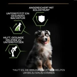 PRO PLAN Optistart Medium Puppy 3 Kg 10 PRO PLAN Optistart Medium Puppy 3 Kg -Haustier Lieferungen bdff04e131be9f7dda9ef4d53f415d28dc7ce6de 1206411 3