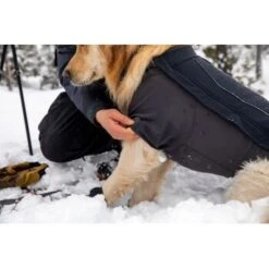Ruffwear Cloud Chaser™ Hundejacke 15 Ruffwear Cloud Chaser™ Hundejacke -Haustier Lieferungen c08ed86245839b8fa7d59b47206e376a4924f862 1369625 de DE 87ed046f15d6c099e4f33a0b92b8494c495a6d97LL6Vmg