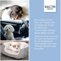 ChronoBalance BactoFacto Probiotischer Geruchsstopp Pads Für 2 Liter 20 Ml 11 ChronoBalance BactoFacto Probiotischer Geruchsstopp Pads Für 2 Liter 20 Ml -Haustier Lieferungen c27e75fc226c89e592b2af9866887997e79057a8 1397549 de DE 11eaf103bff429178d8c79950fc83faf63345183BU6JEF