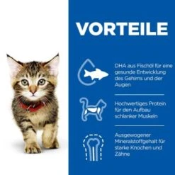 Hill's Science Plan Kitten Thunfisch 7 Kg 10 Hill's Science Plan Kitten Thunfisch 7 Kg -Haustier Lieferungen c6fb28c1a799efc2b3725ee5b7be61613fad29ae 52742024431 4