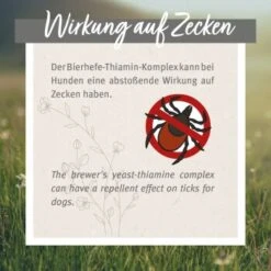 Aniforte Zecken Schild (10 Bis 35kg) Für Hunde 60 Kapseln 11 Aniforte Zecken Schild (10 Bis 35kg) Für Hunde 60 Kapseln -Haustier Lieferungen c72a222a3a037a54212d2d57806535f00b009a34 1332832 de DE 6700813aa03bffd9cf2beb8a7d73b7965a418ce5FkR7KE