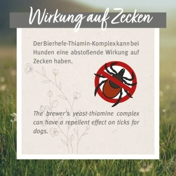 Aniforte Zecken Schild (10 Bis 35kg) Für Hunde 60 Kapseln 6 Aniforte Zecken Schild (10 Bis 35kg) Für Hunde 60 Kapseln – Bild 6