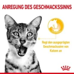 ROYAL CANIN SENSORY Taste In Soße Für Wählerische Katzen 12x85g 15 ROYAL CANIN SENSORY Taste In Soße Für Wählerische Katzen 12x85g -Haustier Lieferungen c751e3e6549d8121352adbb96ff4d6211cb9969c 5358985e70471d76b714fd086a825163a25b9201