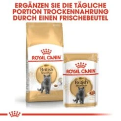 ROYAL CANIN British Shorthair Adult 2 Kg 9 ROYAL CANIN British Shorthair Adult 2 Kg -Haustier Lieferungen c753bd00548b3887de38170504d89850cc579133 6ad27fa67d71d664216d6c9c00894ac1ba874172