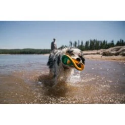 Ruffwear Hydro Plane™ Spielzeug L Blau/ Türkis -Haustier Lieferungen c85f56c174e45f26bb8b85eb8209e1187b03cb62 1364299 de DE 9aa31f36273b943af3517e0584e57ea49be3ad7aNQkaUi