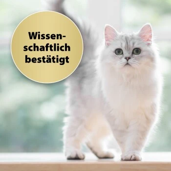 Felisept Home Comfort Nachfüller 45ml 4 Felisept Home Comfort Nachfüller 45ml – Bild 4