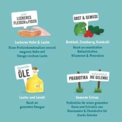 Edgard & Cooper Senior Huhn & ASC Lachs 6x400g -Haustier Lieferungen cb3c27765329be404eb004d7fb4f01c41caeb986 1342698 de DE EC Senior HuhnLachs 1