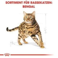 ROYAL CANIN Bengal Adult 10 Kg -Haustier Lieferungen cb3c9b745b0cf6e86ca2308b544461de43105143 e7122eb5a9e8a316aad32423edb5418ecd6d24cd