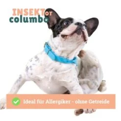 BeG Buddy Trockenfutter Insekten 10 Kg 12 BeG Buddy Trockenfutter Insekten 10 Kg -Haustier Lieferungen cf116b07da699229c95db961fe6b3149884d17ce 1457249 de DE 4e178ddbc2b2fdbf0c31f82dc0c4f17ba0e1886aNH54ct