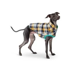 GF Pet Reversible Trail Jacke Grün XXS -Haustier Lieferungen d0d86a70089b79c26342e2430bae8caf960ccaed befa58813c2949e634e5b991f29c2ef187a974fc