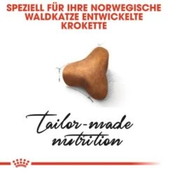 ROYAL CANIN Norwegian Forest Adult 10 Kg 13 ROYAL CANIN Norwegian Forest Adult 10 Kg -Haustier Lieferungen d10cae32374c526515d65c11aa090e1bcea6d2f3 095e16b98db23d26bf2708e66433860bed6f0d70