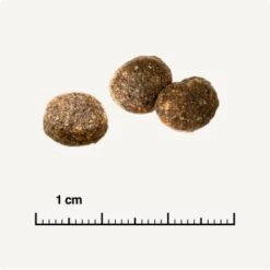 REAL NATURE WILDERNESS Adult Probierpaket Mixpaket 1, Mix-Pack -Haustier Lieferungen d13ec079dfc733868201f90c68c1160fb8a8b3ec 1267094 de DE 6