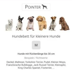 Pointer Liegeplatz Anthrazit M -Haustier Lieferungen dacb5d0e68369f55cb762b76a22898271ab868a8 0636d788341d46b965ccfed669d1fb34a1f28af7