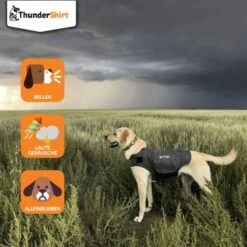 Thundershirt Beruhigungsweste Grau XS -Haustier Lieferungen dba829e1909f5c4f6710e4085b27664b9bf6ac3e 1102942 2