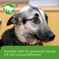 ADAPTIL Chew 30 Stück Anti Stress Snack -Haustier Lieferungen dd1f44620defd2e7a86c6271361fb23975f08b2f 1374744 3