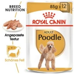 ROYAL CANIN Poodle Adult In Soße 12x85g