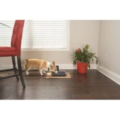 PetSafe Digitaler Futterautomat Für 2 Mahlzeiten 9 PetSafe Digitaler Futterautomat Für 2 Mahlzeiten -Haustier Lieferungen dd3fb1748ad72abb1dbd97f6f077b00bb4d76d05 1291255 de DE cf72a75b3fd4f7fd8b7e51ea368585b22239110fFJga5O