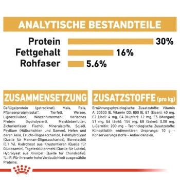 ROYAL CANIN Norwegian Forest Adult 10 Kg 2 ROYAL CANIN Norwegian Forest Adult 10 Kg – Bild 2