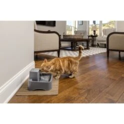 PetSafe Trinkbrunnen 1,8 L 13 PetSafe Trinkbrunnen 1,8 L -Haustier Lieferungen df488cf045110a6e0d24fcded3d81de07583d88a 1323706 7