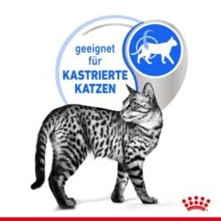 ROYAL CANIN Indoor Sterilised 12x85g In Gelee -Haustier Lieferungen e0f30f9a28c4a2b10156c12b92347b4c5a9b1e23 8c952aa18fe09440ca4c62569fbc775fe9fd6239