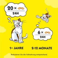 Dreamies Snack-Vielfalt 12x60g -Haustier Lieferungen e1b190f4f53100ff83c0fb6481ba747fb1f78bad 1297459 2