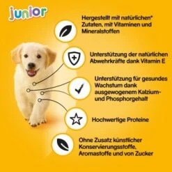 Pedigree Junior 12x400g 8 Pedigree Junior 12x400g -Haustier Lieferungen e1cf5ea84f6af272ed10aabce460ba31ba7ab263 1100594 de DE pedigree 2
