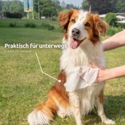 Aniforte Pflegetücher 100 Stück -Haustier Lieferungen e365b8abe40c079512459251ed7a0e0087ff8345 1439276 de DE e9b1c5cd3e053b4194f300ca56919dacbe6d40f5HoicFY