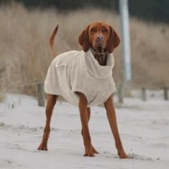 THE DOG IDEA Bademantel Every Beige XXXS -Haustier Lieferungen e3729773c9f5b61c18a464eeb5076e81a866013e 1472946 de DE ac504db57b88122680c4cb56470ea23721b69c99VnzO7V