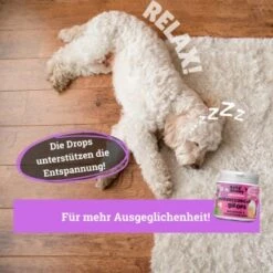 BeG Buddy Beruhigungsmittel Anti Stress 8 BeG Buddy Beruhigungsmittel Anti Stress -Haustier Lieferungen e508e321b670c48b8e0200cb260a2948b686e5df 1457250 de DE b3b765708a527c30f34f0f58c8595c44fbb0998aiAYJk8