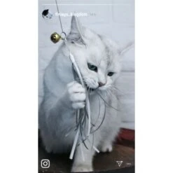 Kater Kasimir Premium Katzenangel Mit 4 Handgemachten Anhängern Aus Naturmaterial 9 Kater Kasimir Premium Katzenangel Mit 4 Handgemachten Anhängern Aus Naturmaterial -Haustier Lieferungen e6fe48d27b82d48675d665ee2a143e3c11de2fd9 1408150 de DE b29a5f7f2530ce6388e16e2600369d70b2ec0350kYn6B8