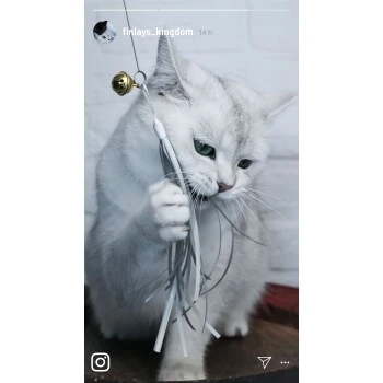 Kater Kasimir Premium Katzenangel Mit 4 Handgemachten Anhängern Aus Naturmaterial 5 Kater Kasimir Premium Katzenangel Mit 4 Handgemachten Anhängern Aus Naturmaterial – Bild 5